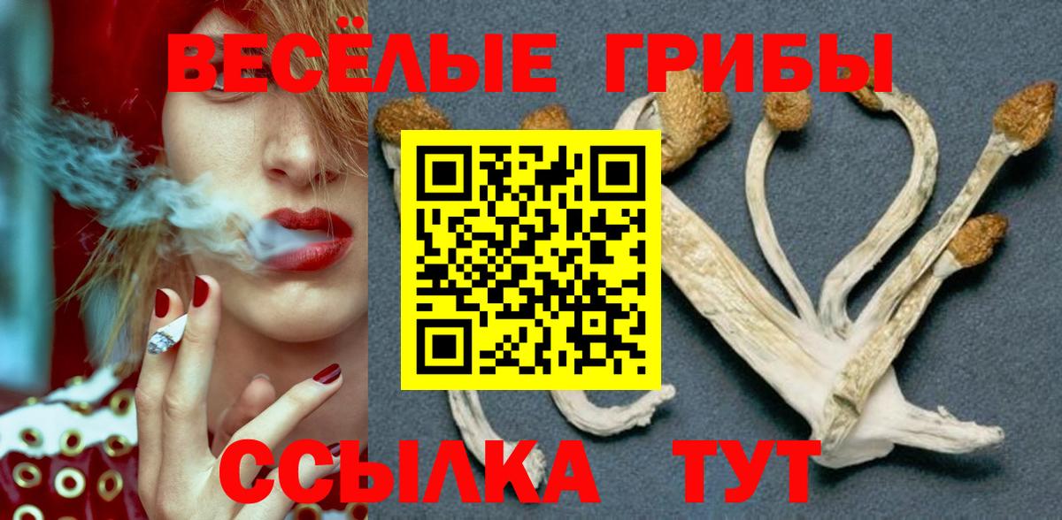 Псилоцибиновые грибы Psilocybine cubensis  Галлюциногенные грибы Psilocybine cubensis  Архангельск  Вход с VPN 