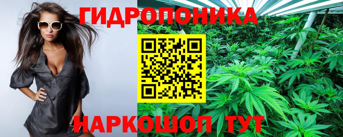 Бошки марихуана планчик Архангельск